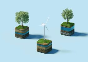 Wind turbines and trees