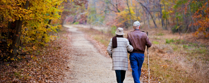 Elderly couple walking a path in the woods